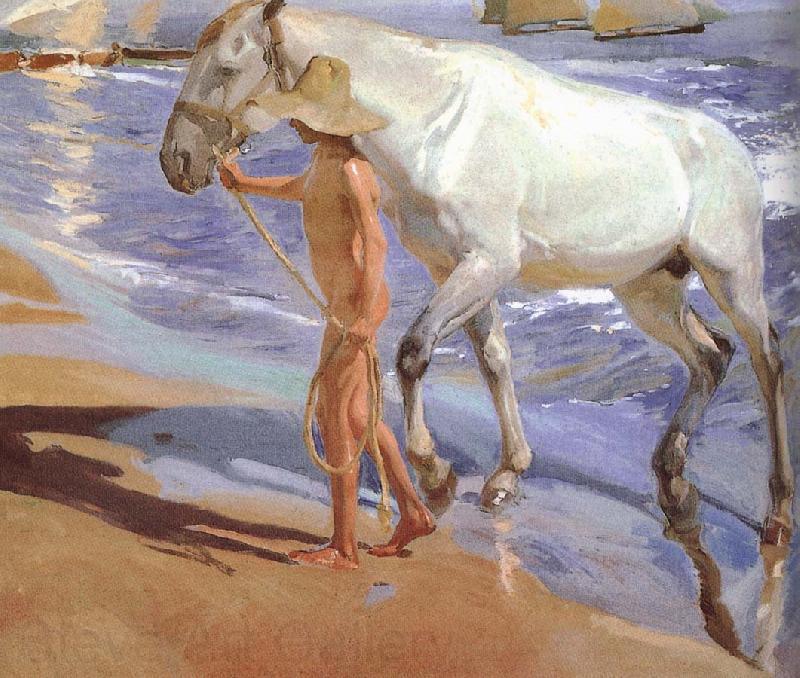 Joaquin Sorolla Horse bath France oil painting art
